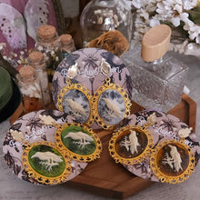 Load image into Gallery viewer, Victorian Haunting Raven Cameo Earrings